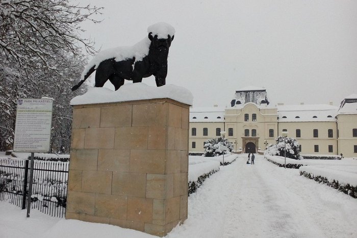 Ilustračný obrázok k článku Zo zbierok militárií Andrássyovcov: FOTO interesantného predmetu, ktorý nájdete v zámku