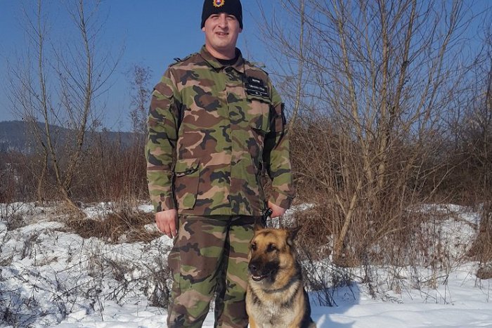 Ilustračný obrázok k článku Policajný pes na stope šalianskych vlamačov: Nespratníci sa vkradli do pohostinstva