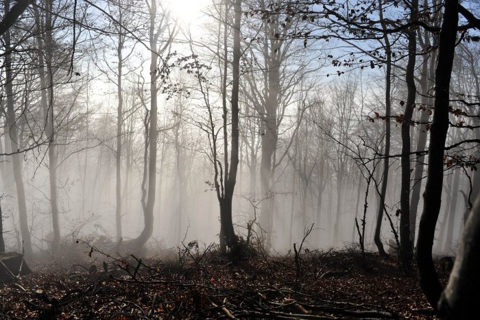 Ilustračný obrázok k článku V lesoch Tribeča poblúdili aj domáci: Záhadnú stratu orientácie si nevedia vysvetliť