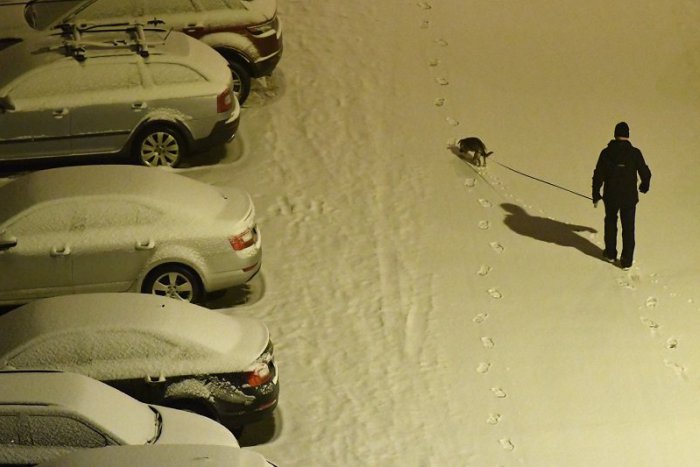 Ilustračný obrázok k článku V Novohrade nasnežilo, výstraha platí na najbližšie dni