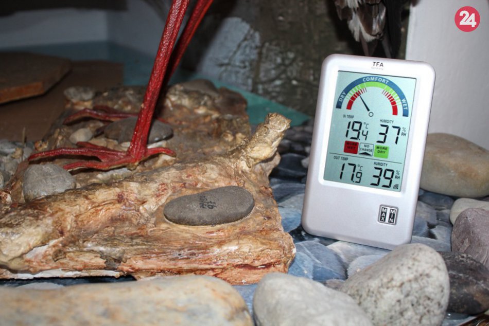 Ilustračný obrázok k článku Skryté poklady považskobystrického múzea: Hneď sú lepšie chránené, FOTO