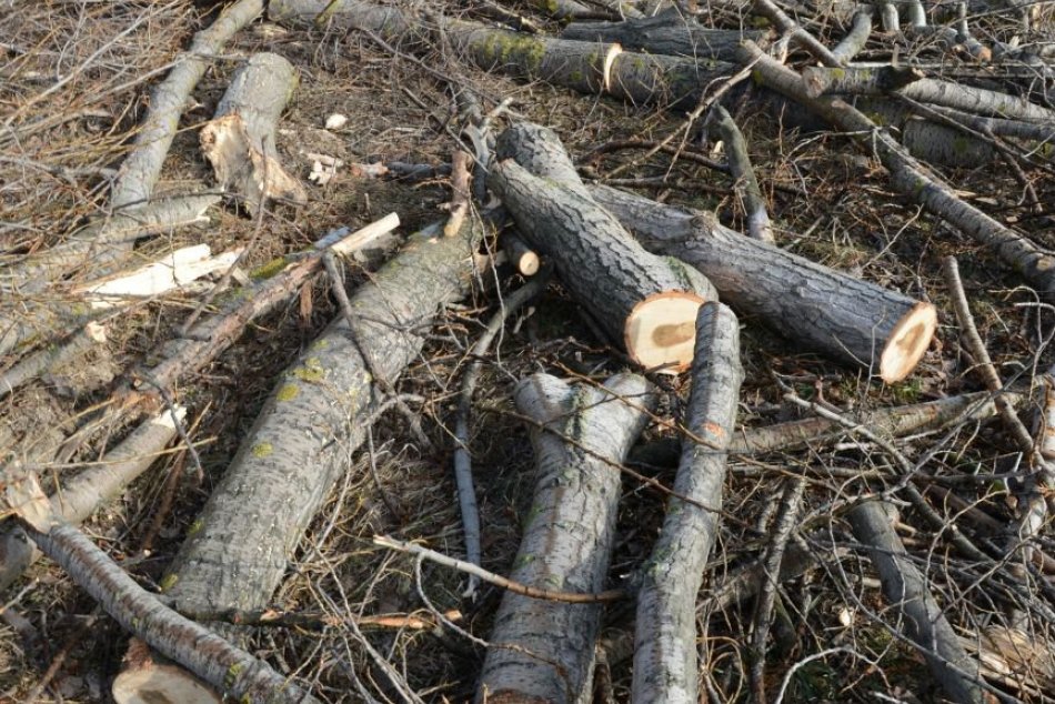 Ilustračný obrázok k článku Horehronie čaká MASÍVNA ťažba: Poslanci však žiadajú splnenie viacerých POŽIADAVIEK