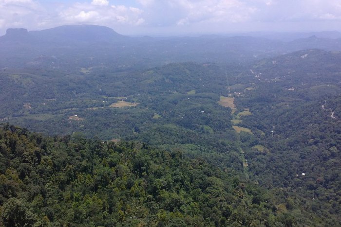 Ilustračný obrázok k článku SVET O SLOVENSKU: Biologickí piráti drancujú exotickú prírodu