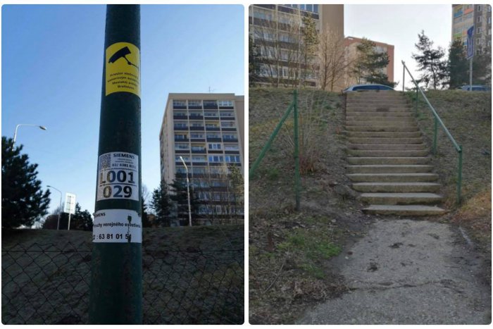 Ilustračný obrázok k článku V Lamači niekto vyviedol kábel z pouličnej lampy, ohrozil tak ľudí aj psov