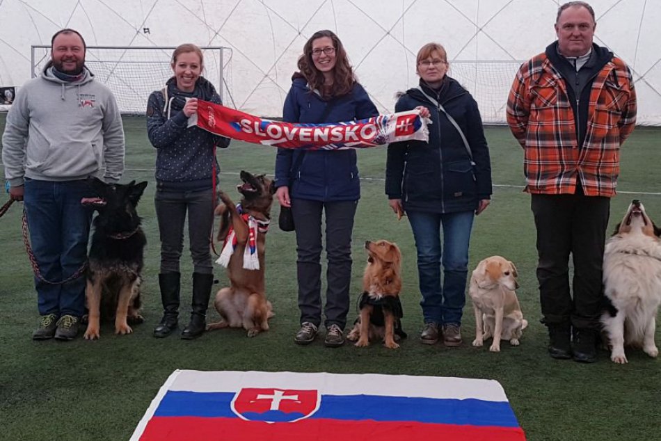 Ilustračný obrázok k článku Popradský ovčiak Kubo: Na súťaži v Maďarsku dosiahol pekný úspech  FOTO, VIDEO