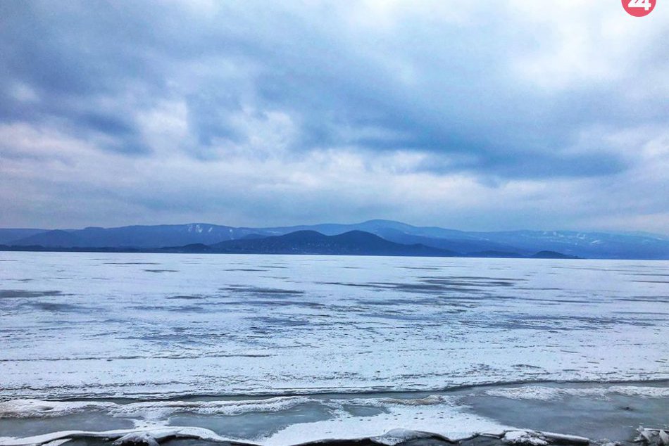 Ilustračný obrázok k článku Tisíce vzácnych zvierat na Šírave: Prileteli z ďalekej Sibíri