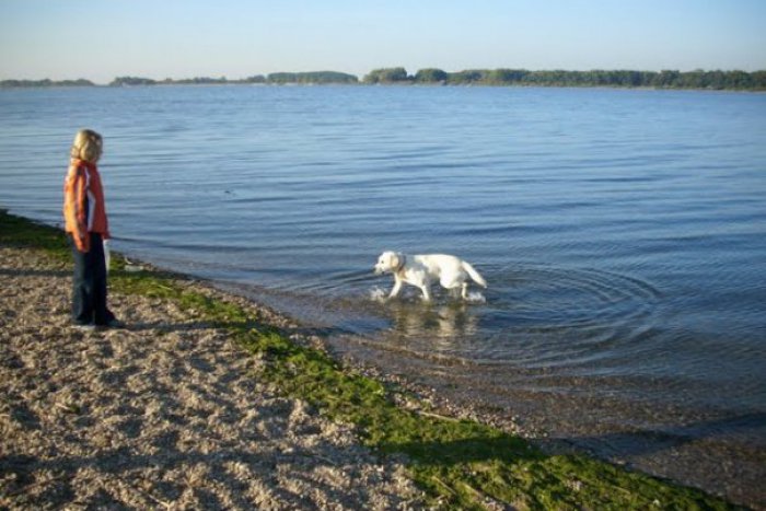 Ilustračný obrázok k článku Prichádza víkend: Ako si najlepšie prečistíte hlavu v Šali a okolí?