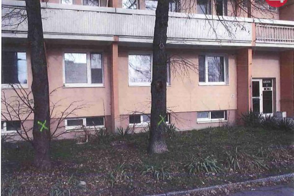 Ilustračný obrázok k článku Výrub stromov v ochrannom pásme plynovodu v Karlovej Vsi bude minimalizovaný