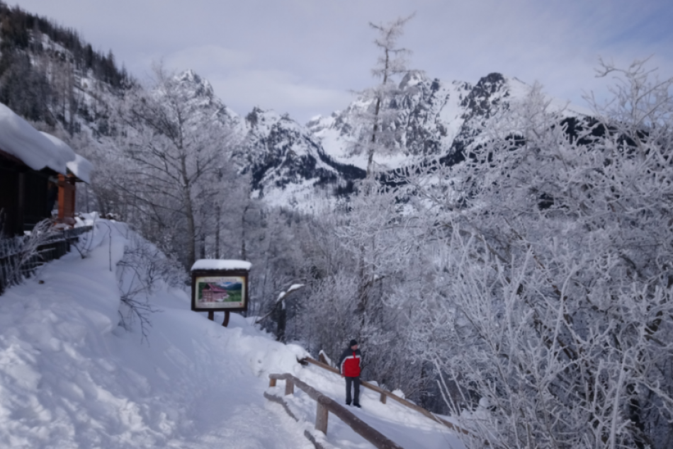 Ilustračný obrázok k článku Popadané stromy: Týmto úsekom Tatranskej magistrály neprejdete!