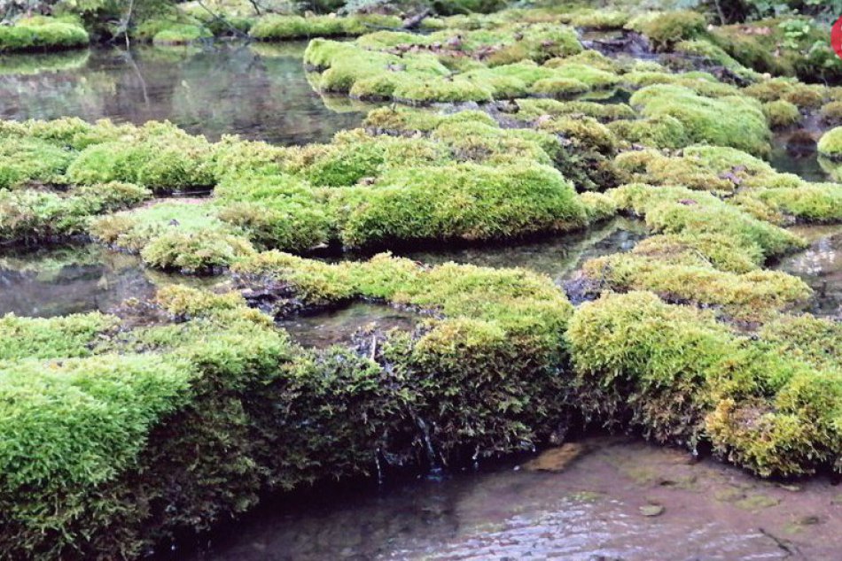 Ilustračný obrázok k článku Čarovné miesto Gemera:  Takéto krásy máme za rohom, FOTO