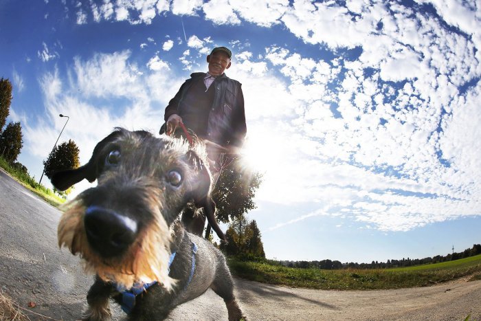 Ilustračný obrázok k článku Relax prichádza: Redakčné tipy na voľný čas