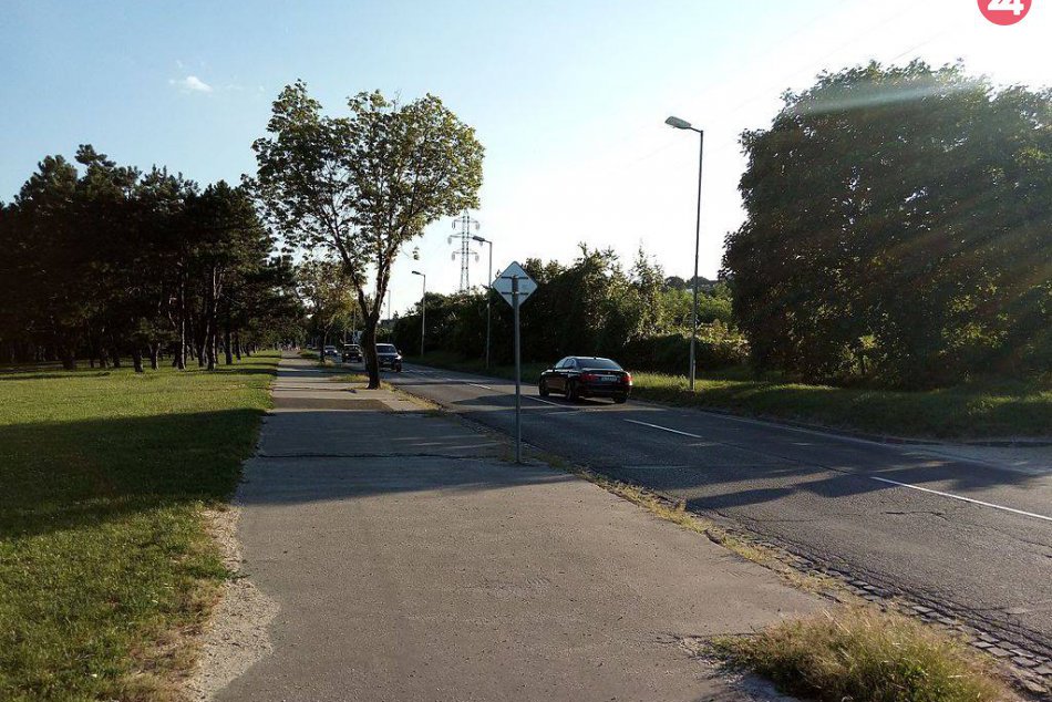 Ilustračný obrázok k článku Na Pionierskej ulici vyrúbu 17 stromov, podľa mesta sú v zlom stave a ohrozujú bezpečnosť