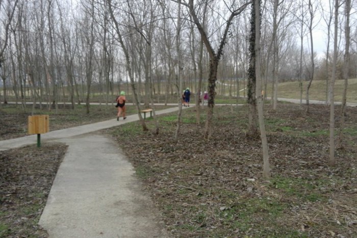 Ilustračný obrázok k článku V šalianskom lesoparku sa opäť pracuje: Radnica pokračuje s relax zónou, FOTO