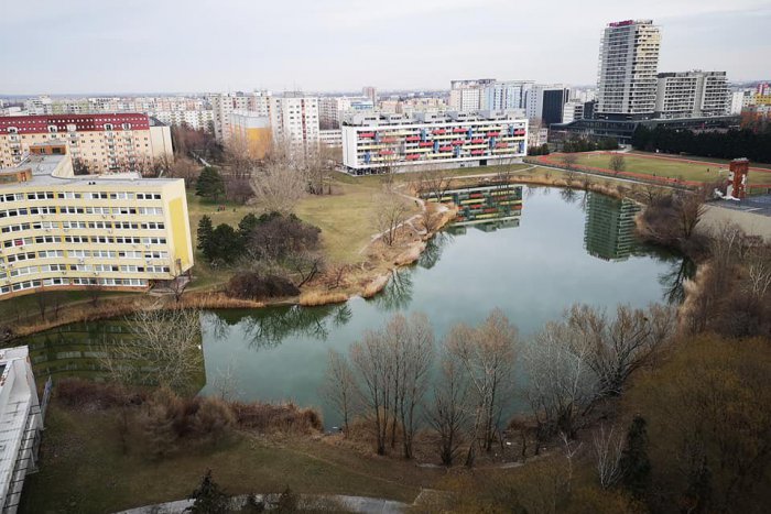 Ilustračný obrázok k článku Radi by ste požiadali o grant Ružinova, ale neviete ako na to?