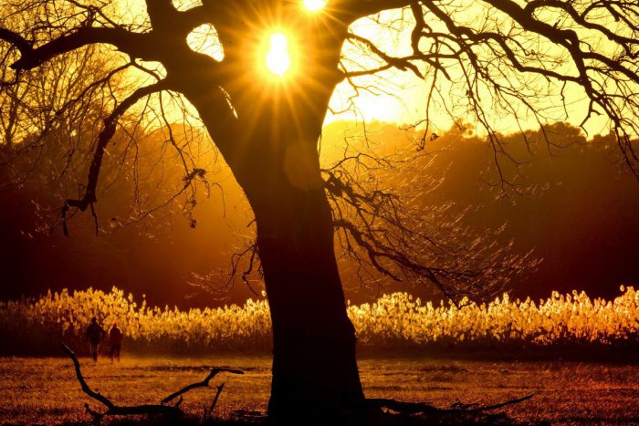 Ilustračný obrázok k článku RANNÁ ŠTVORKA: Posledný februárový deň prinesie príjemné počasie, oslavuje Zlatica