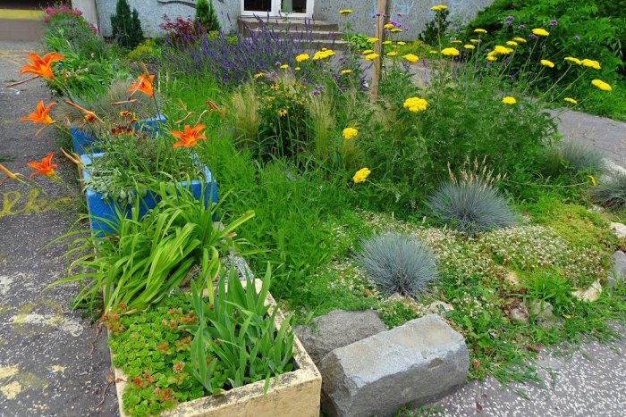 Ilustračný obrázok k článku Je Karlova Ves dostatočne zelená? Hlasujte