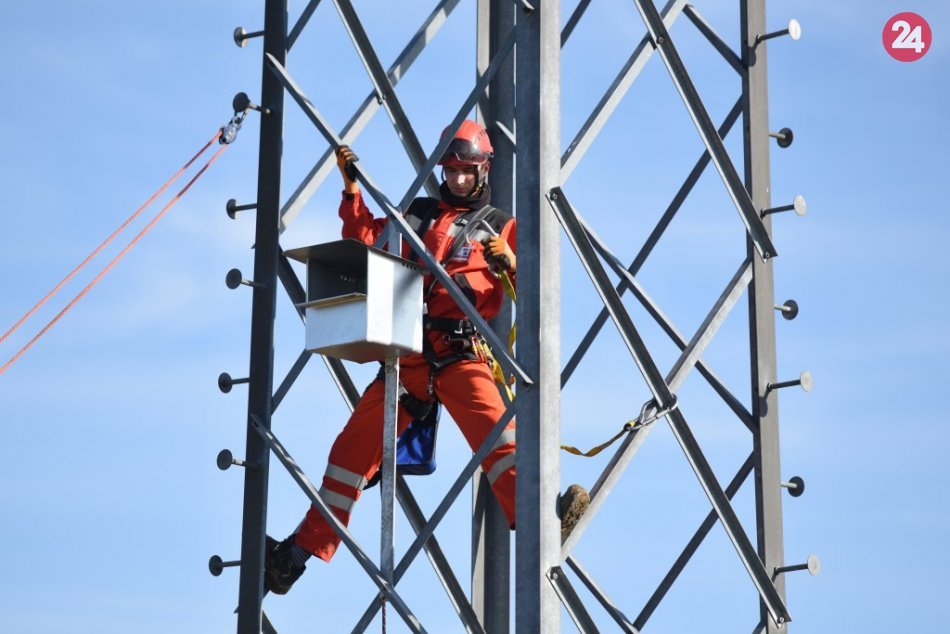 Ilustračný obrázok k článku Sokolmi bojujú proti hrabošom: V Siladiciach osádzajú búdky pre dravcov