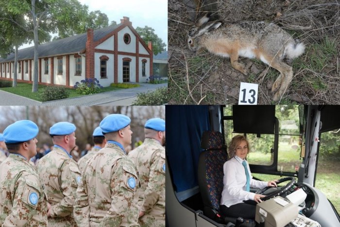 Ilustračný obrázok k článku Top témy týždňa: Najčítanejšie správy z Nitry za uplynulé dni