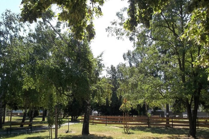 Ilustračný obrázok k článku Šaľania, môžete hlasovať za životné prostredie: Šikovný projekt získa 1000 eur