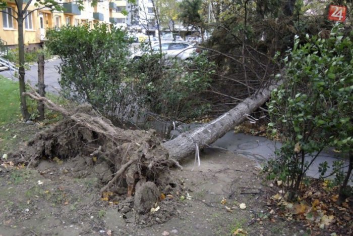 Ilustračný obrázok k článku Hasiči mali za 24 hodín v súvislosti s počasím desiatky výjazdov, najviac v okrese Brezno