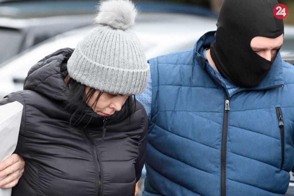 Ilustračný obrázok k článku Alena Zsuzsová v Nitre vypovedala na NAKA: Akúkoľvek vinu popiera