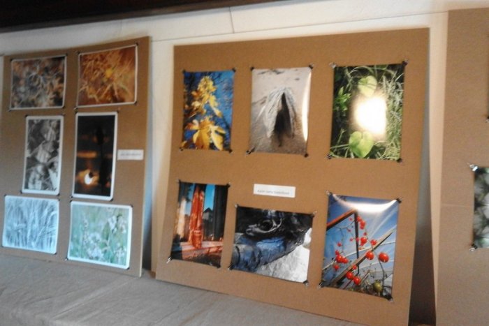 Ilustračný obrázok k článku Prídťe sa jarne naladiť: Šaliansky domček ponúka Prebudené detaily, FOTO