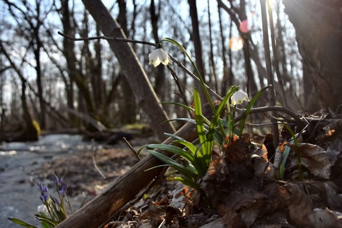 Ilustračný obrázok k článku RANNÁ ŠTVORKA: V piatok bude jasno s teplotami do 17 stupňov, meniny má Beňadik