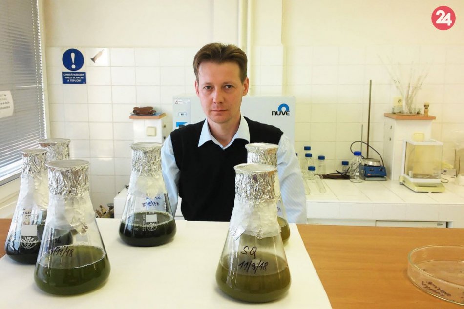 Ilustračný obrázok k článku Biológ Jozef Kováčik v ROZHOVORE: Aj rastliny pociťujú stres