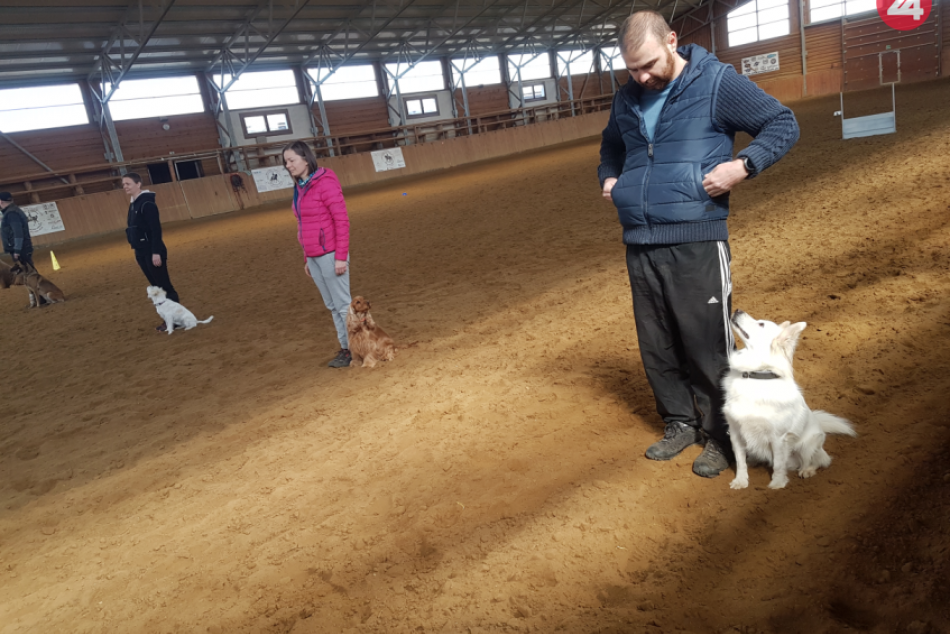 Ilustračný obrázok k článku Kynologické preteky a úspech Popradčanov: Novú medzinárodnú skúšku zvládli na jednotku