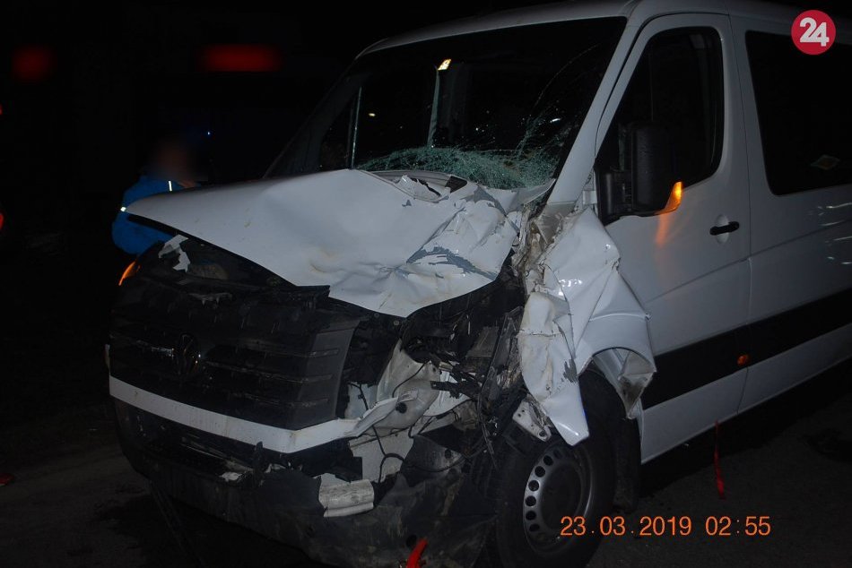 Ilustračný obrázok k článku Na Orave vrazilo auto do koní: Spolujazdkyňa sa pri zrážke zranila, zvieratá uhynuli, FOTO