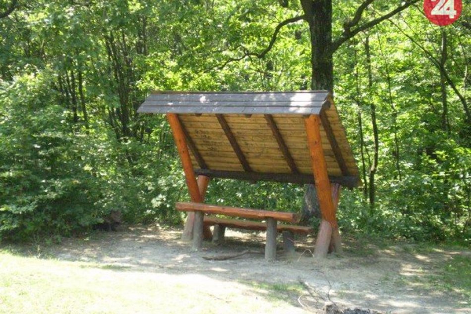 Ilustračný obrázok k článku Výrub stromov v Lesoparku pri sídlisku Dargovských hrdinov bol v rámci obnovy