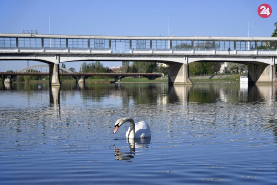 Ilustračný obrázok k článku Dráma pri rieke Váh: Hrdinský čin policajta z Piešťan zachránil dvoch ľudí