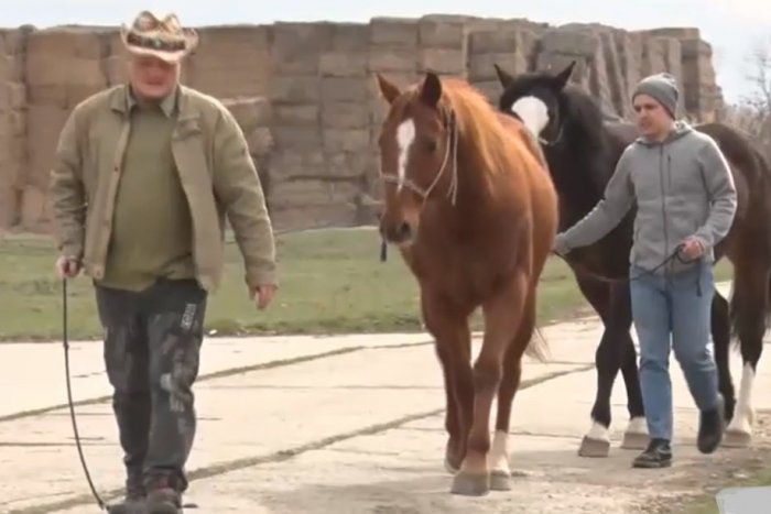 Ilustračný obrázok k článku Nespokojní farmári opäť mieria do Bratislavy. Tentoraz na koňoch!