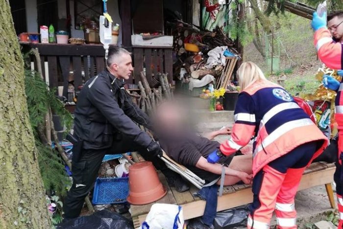 Ilustračný obrázok k článku Polícia v pohotovosti: V Dúbravke sa strieľalo!