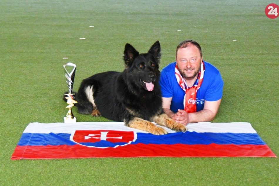 Ilustračný obrázok k článku Prísne oko fínskeho rozhodcu rozhodlo: Popradský ovčiak Kubo opäť na bedni