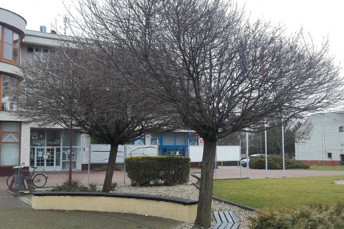 Ilustračný obrázok k článku V Močenku vyrastie dedinské múzeum: Tešte sa na historické skvosty a prekvapenia