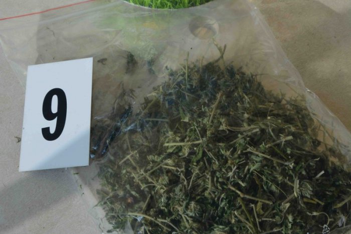 Ilustračný obrázok k článku V Šoporni policajti zadržali muža (32): Našli sušené konope vo veľkom množstve