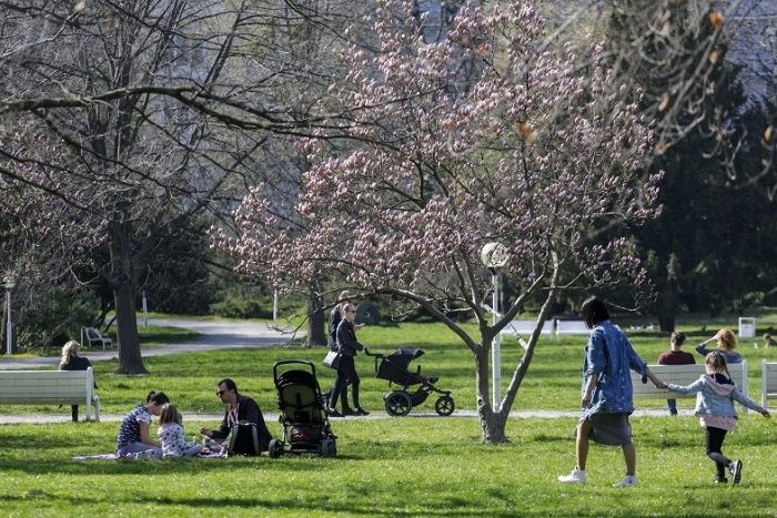 Ilustračný obrázok k článku Jar sa rozbieha: Bohatá ponuka na nový týždeň v Trenčíne a okolí