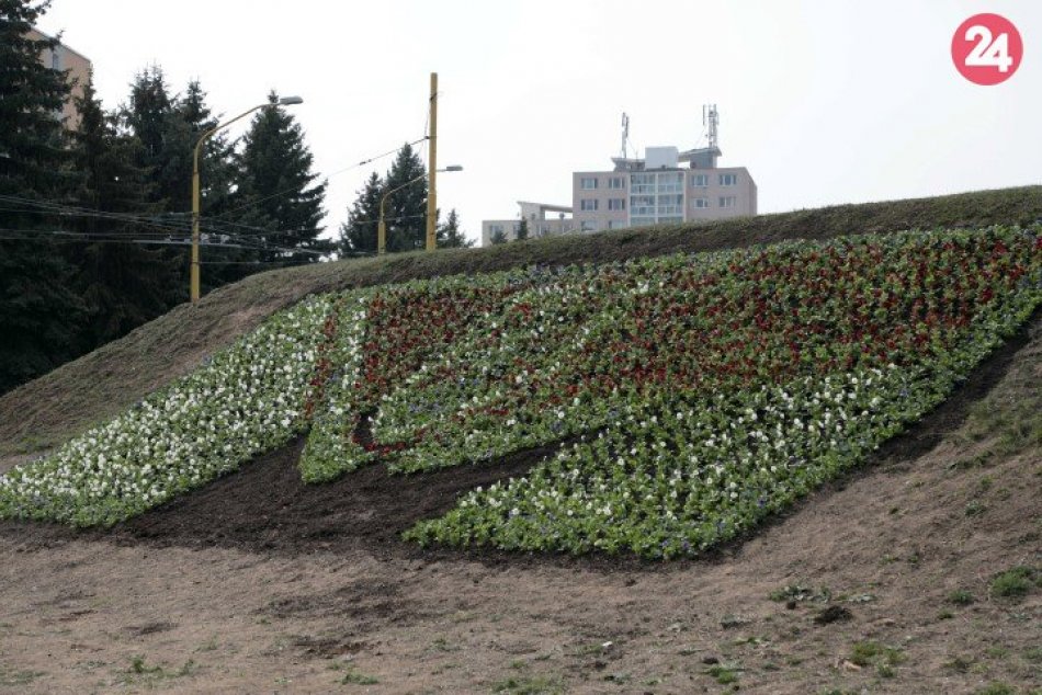 Ilustračný obrázok k článku Pri Steel Aréne "vykvitne" hokejka a štátny znak