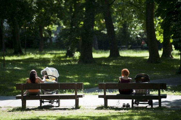 Ilustračný obrázok k článku Bratislavský dunajský park čerpá inšpiráciu aj z niektorých viedenských parkov