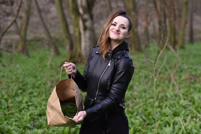 Ilustračný obrázok k článku Sezóna medvedieho cesnaku v plnom prúde: Kde ho vyhľadávajú Trenčania?