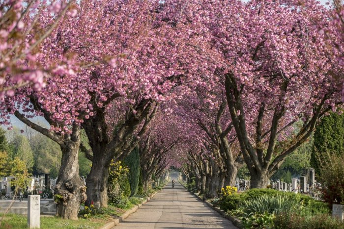 Ilustračný obrázok k článku RANNÁ ŠTVORKA: Vo štvrtok sa oteplí na 18 stupňov, meniny má Valér