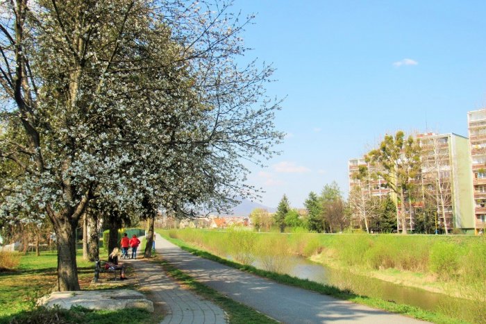 Ilustračný obrázok k článku Koncert, film či výstava: Aj takéto akcie ponúka tento týždeň v Prešove