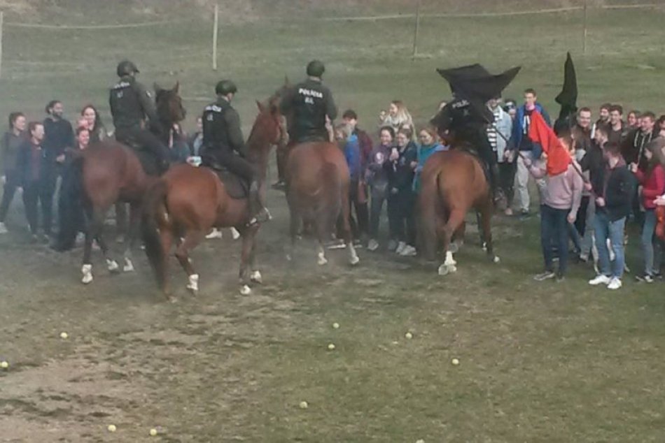 Ilustračný obrázok k článku Veterinárna univerzita spolupracuje s policajnými kynológmi a hipológmi