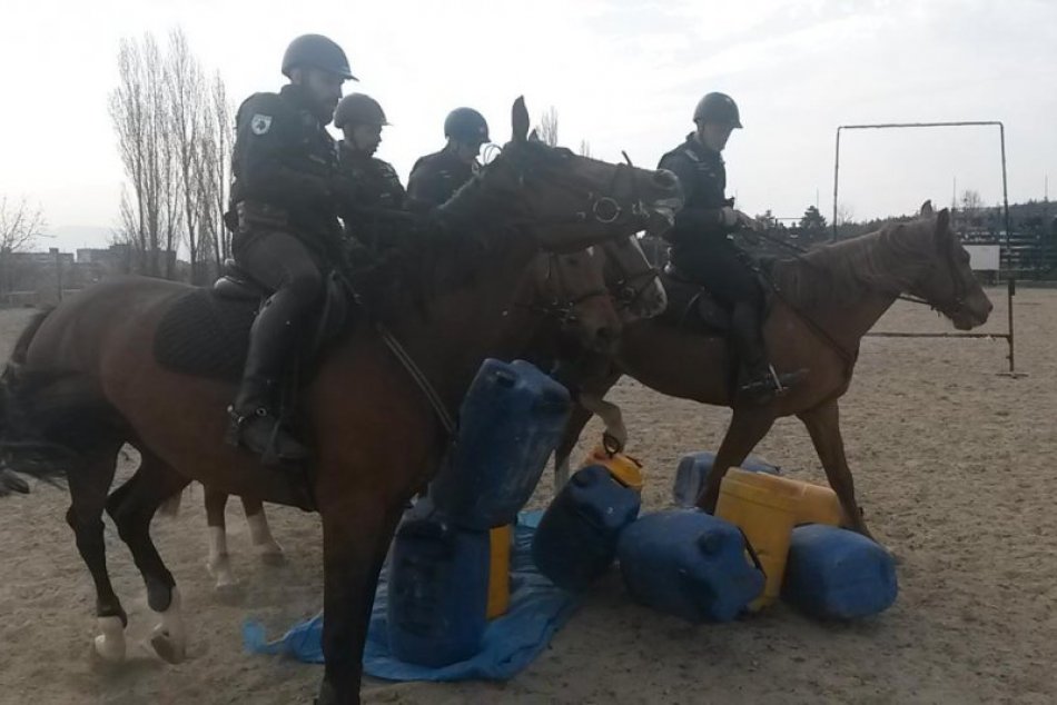 Ilustračný obrázok k článku Policajti na služobných koňoch predviedli ukážky svojej práce študentom veteriny
