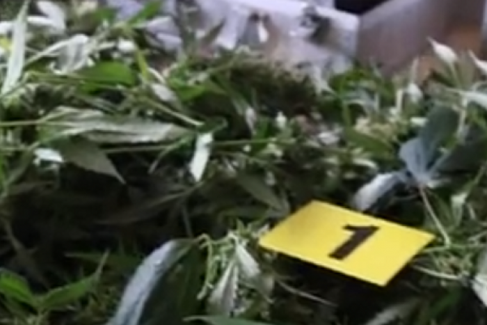 Ilustračný obrázok k článku VIDEO: Veľký policajný úlovok v obci Beňuš: Muži zákona zaistili 7 kilogramov konope