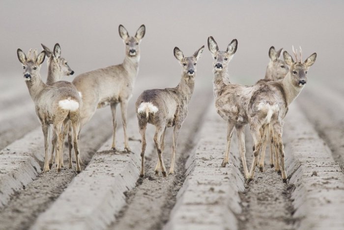 Ilustračný obrázok k článku RANNÁ ŠTVORKA: Vo štvrtok sa ochladí na 11 stupňov, meniny má Július