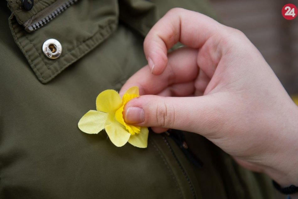 Ilustračný obrázok k článku Deň narcisov aj v Prezidentskom paláci: Kiska prijal dobrovoľníkov