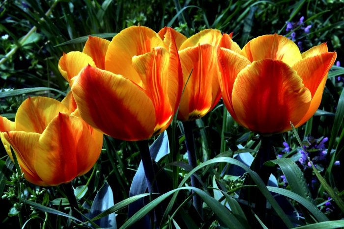 Ilustračný obrázok k článku RANNÁ ŠTVORKA: V piatok bude zamračené s teplotami do 12 °C, meniny má Estera