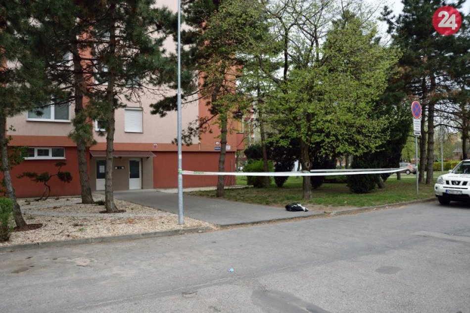 Ilustračný obrázok k článku Ženu pri venčení psa v Zámkoch polial útočník kyselinou: Útok neprežila